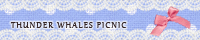 THUNDER WHALES PICNIC(���㖾�����l)
